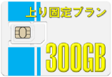 300GB �f�[�^SIM�J�[�h�@���Œ� ������ �f�[�^�l�b�g���[�N�T�[�r�X���ƕ�